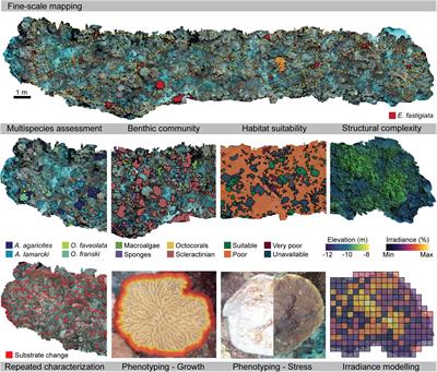 Reefscape Genomics: Leveraging Advances in 3D Imaging to Assess Fine-Scale Patterns of Genomic Variation on Coral Reefs